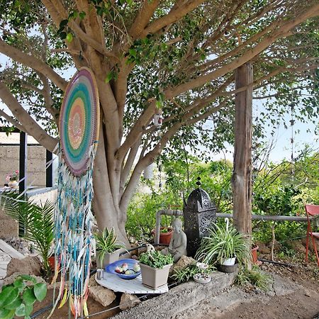 Apartamento Munay Granadilla De Abona Esterno foto